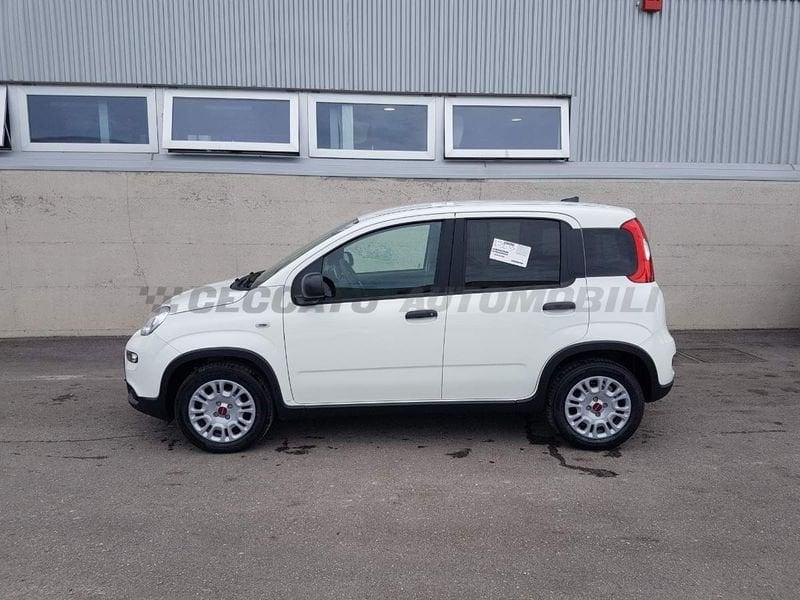 FIAT Panda Van My23 1.0 Hybrid S&S 70cv E6.4 - 2 Posti