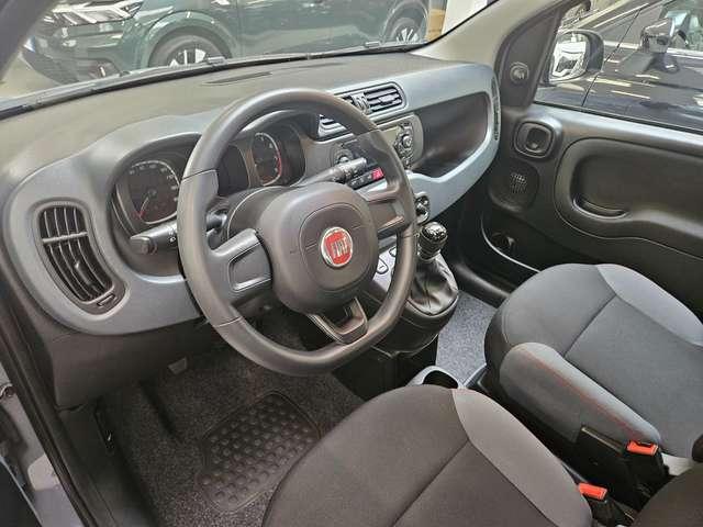 Fiat Panda Panda 1.0 hybrid Easy 70cv