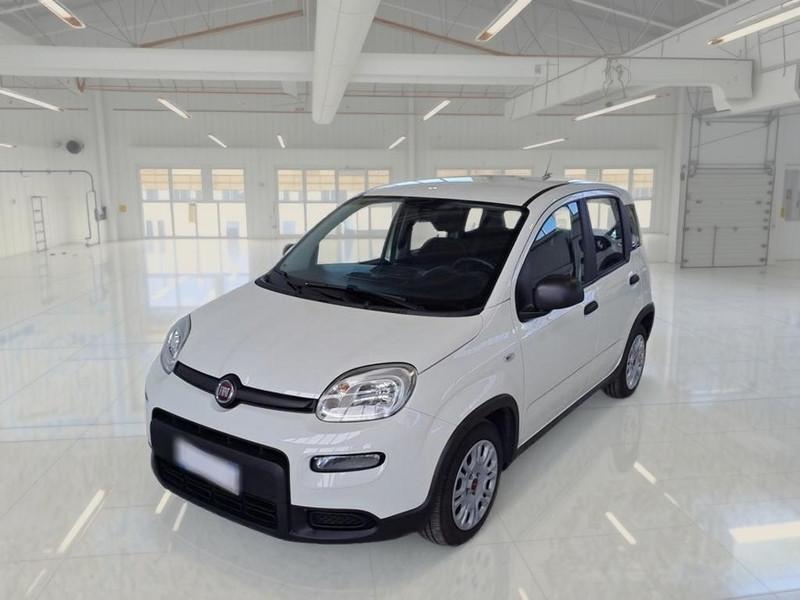 FIAT PANDA 1.0 FIREFLY 70 CV SES HYBRID 5 PORTE BERLINA