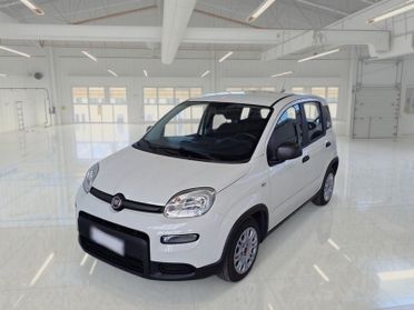 FIAT PANDA 1.0 FIREFLY 70 CV SES HYBRID 5 PORTE BERLINA