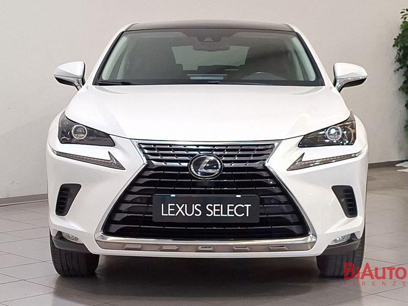 Lexus NX NX 300h 2.5 Premium 4wd cvt