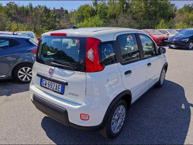 FIAT Panda 1.0 firefly hybrid s&s 70cv