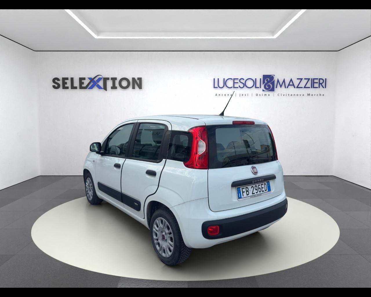 FIAT PANDA - Panda 1.2 Easy