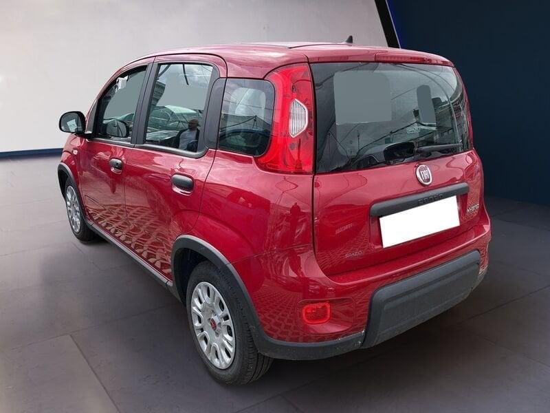 FIAT Panda My24 1.0 70cv Hybrid Panda