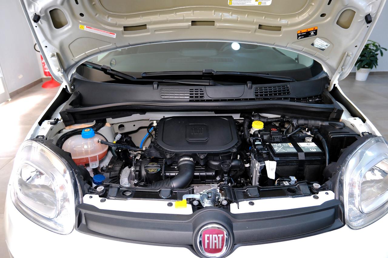 Fiat Panda Cross 1000 HYBRID 70cv CARPLAY