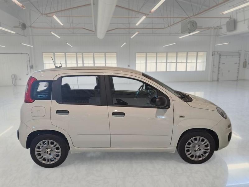 FIAT PANDINA 1.0 FIREFLY 65 CV SES 6M HYBRID ICON 5 PORTE BERLINA