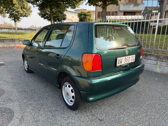 Volkswagen Polo 1.4 cat 5 porte Comfort