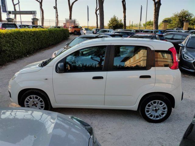 FIAT Panda 1.2 Easy CLIMATIZZATORE OK NEOPATENTATI