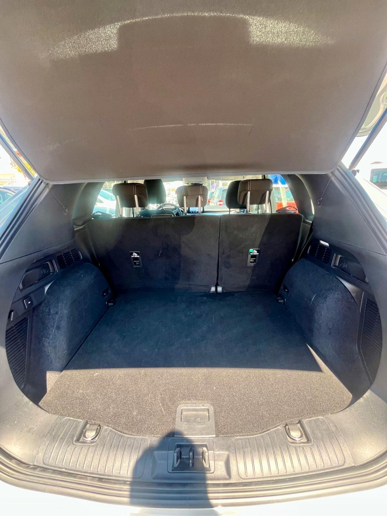 Ford Kuga 2.0 EcoBlue Hybrid 150 CV 2WD Titanium