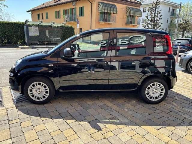 Fiat Altro Pandina 1.0 FireFly 65 CV Hybrid Icon