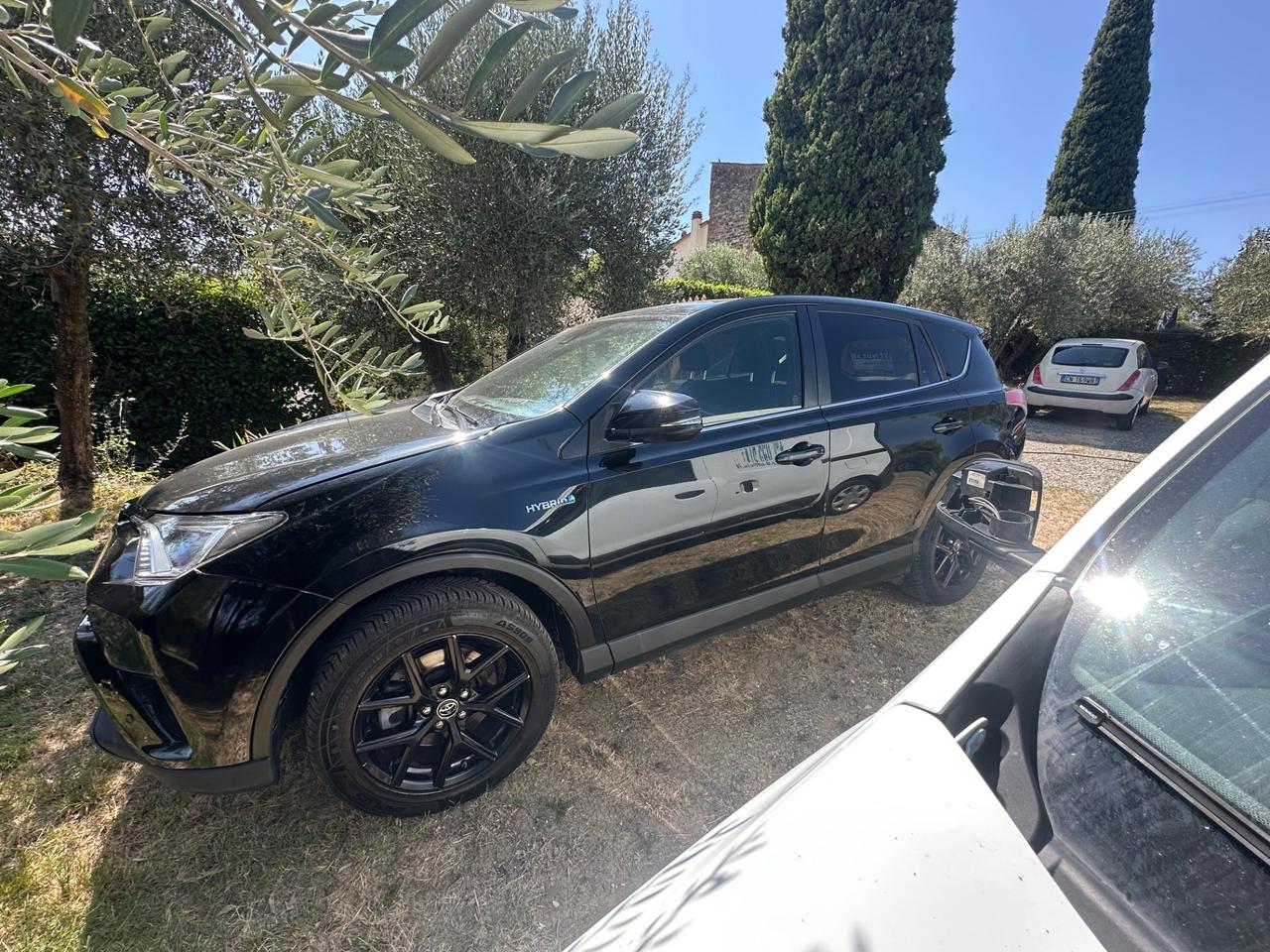 Toyota RAV 4 RAV4 2.5 Hybrid 4WD Style