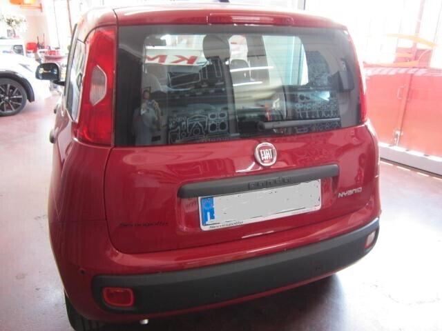 Fiat Panda 1.0 FireFly S&S Hybrid NEOPATENTATI KM. ZERO
