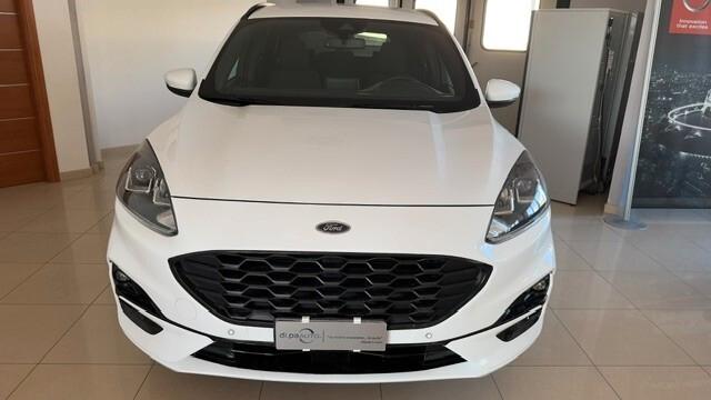 Ford Kuga 1.5 EcoBlue 120 CV 2WD ST-Line