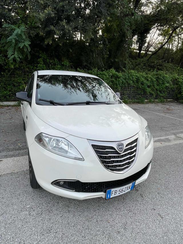 LANCIA Ypsilon 1.3 MJT 16V 95 CV 5 porte S&S Elle