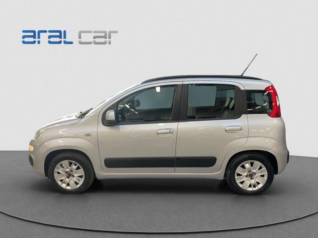 FIAT Panda 1.2 Lounge 70CV Benzina