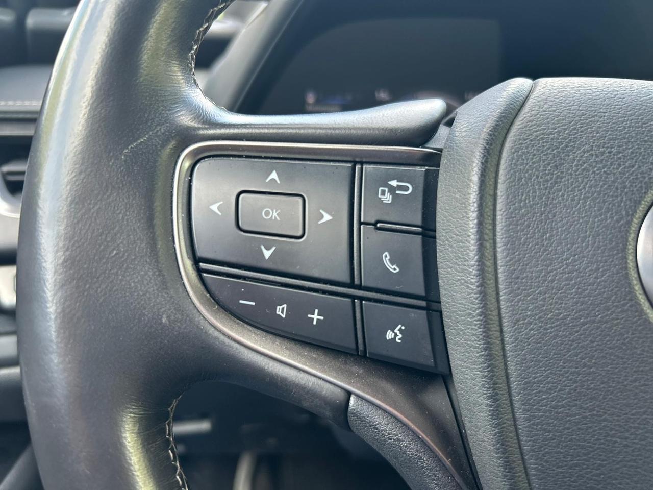 Lexus UX 250h Hybrid AWD Luxury Navi Pelle LED Camera