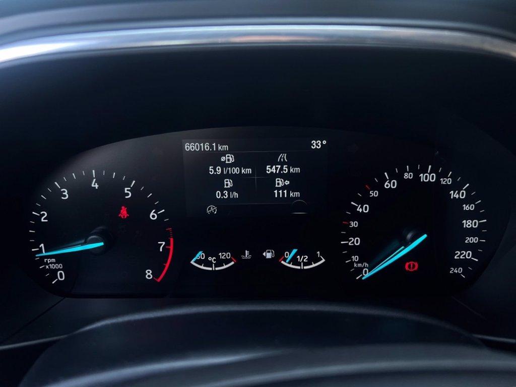 FORD Focus 1.0 EcoBoost Hybrid 125 CV 5p. Active Design del 2023