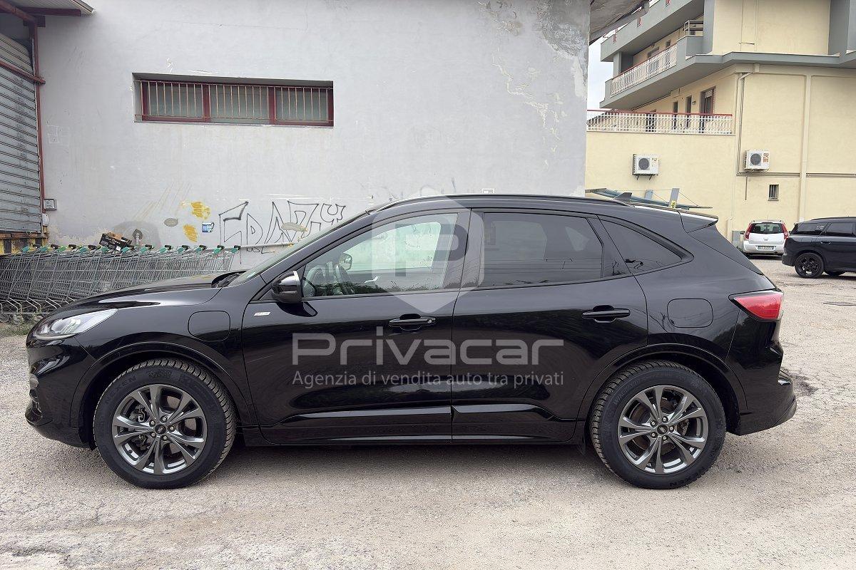 FORD Kuga 2.5 Plug In Hybrid 225 CV CVT 2WD ST-Line