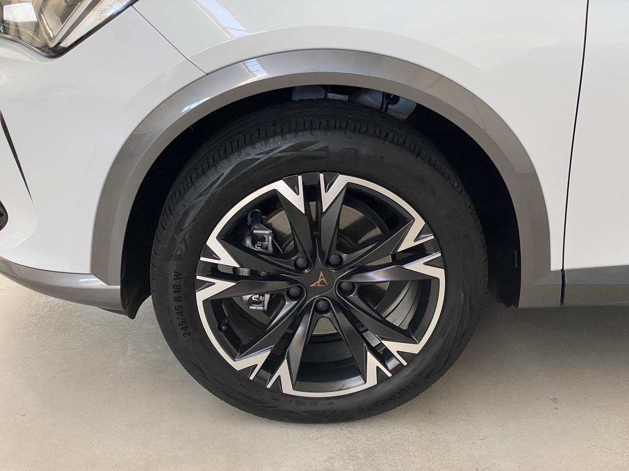 Cupra Formentor 2.0 tdi 150cv 4drive