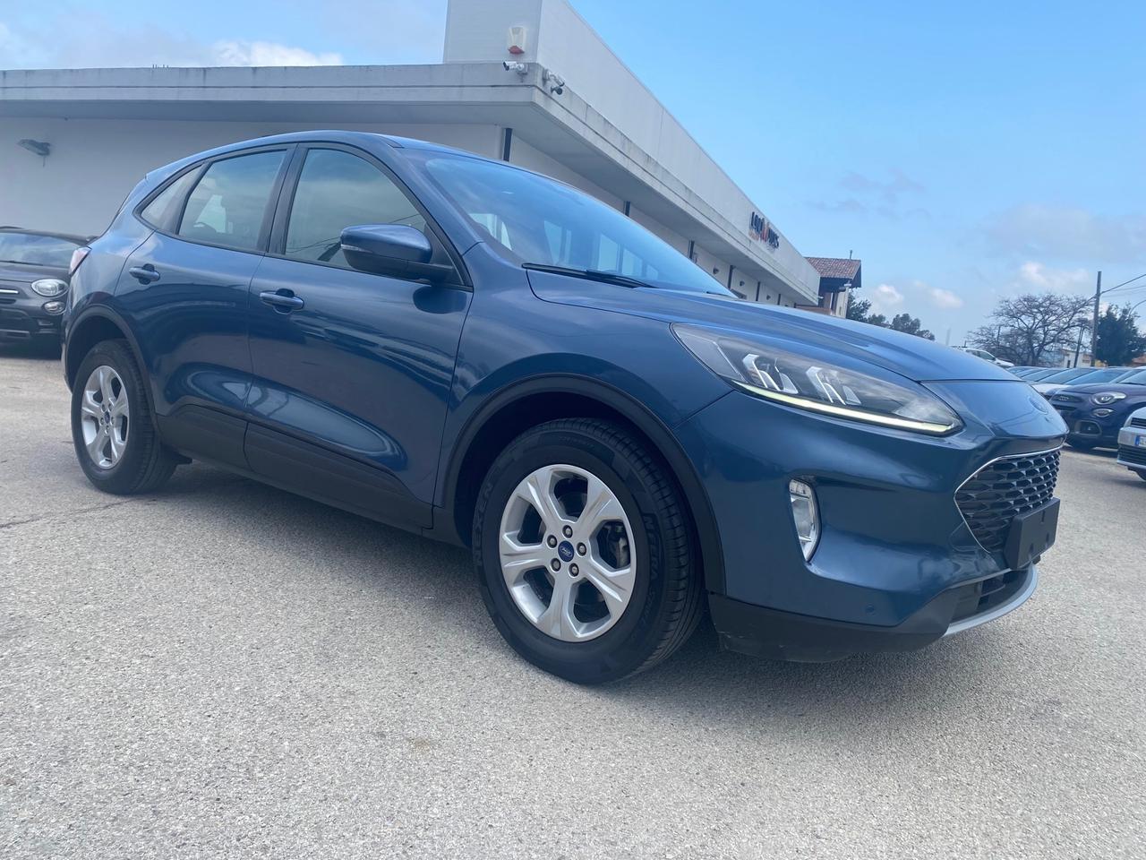Ford Kuga 1.5 EcoBlue 120 CV 2WD Connect