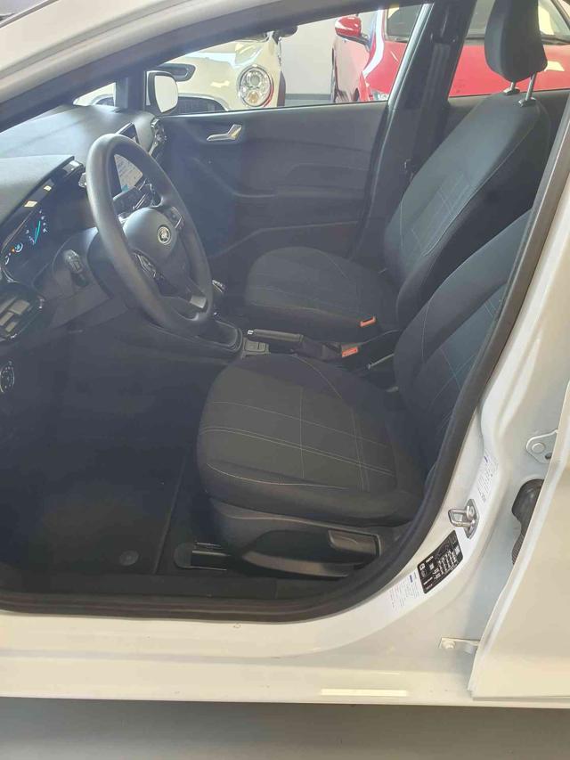 FORD Fiesta 1.5 EcoBlue 5 porte Business