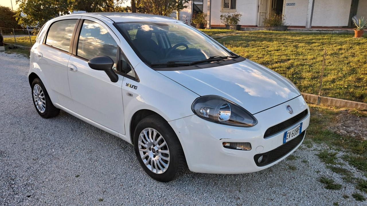 Fiat Punto 1.4 8V 5 porte Easypower Young