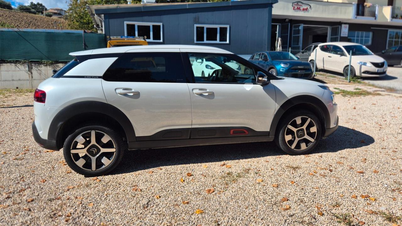 Citroen C4 Cactus BlueHDi 100 S&S ETG6 Shine