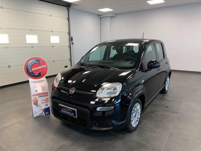 FIAT Panda 1.0 Benzina Hybrid City Life