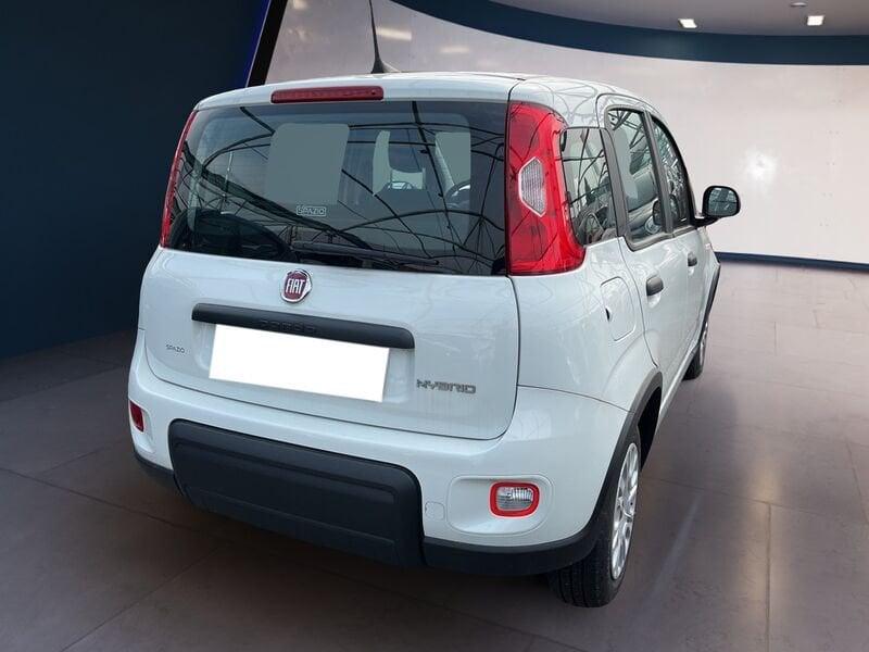 FIAT Panda My23 1.0 70cv Hybrid Panda