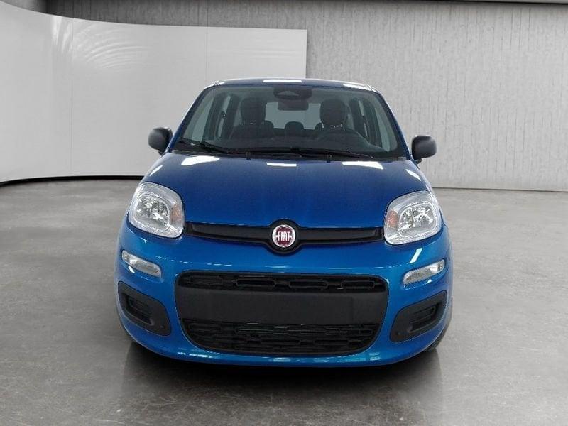 FIAT Pandina 1.0 firefly hybrid Icon s&s 70cv 5p.ti