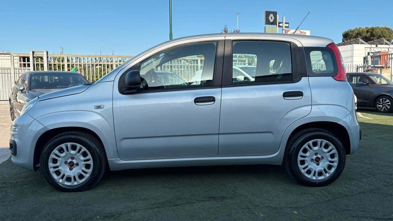 Fiat Panda 1.2 312PXA1A | BENZINA|169A4000 CC 1242 CV 69 KW 51 BERLINA, 5 P. (92816