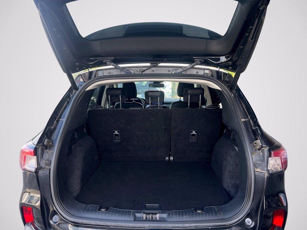 FORD Kuga 1.5 EcoBlue 120 CV aut. 2WD Titanium X del 2020