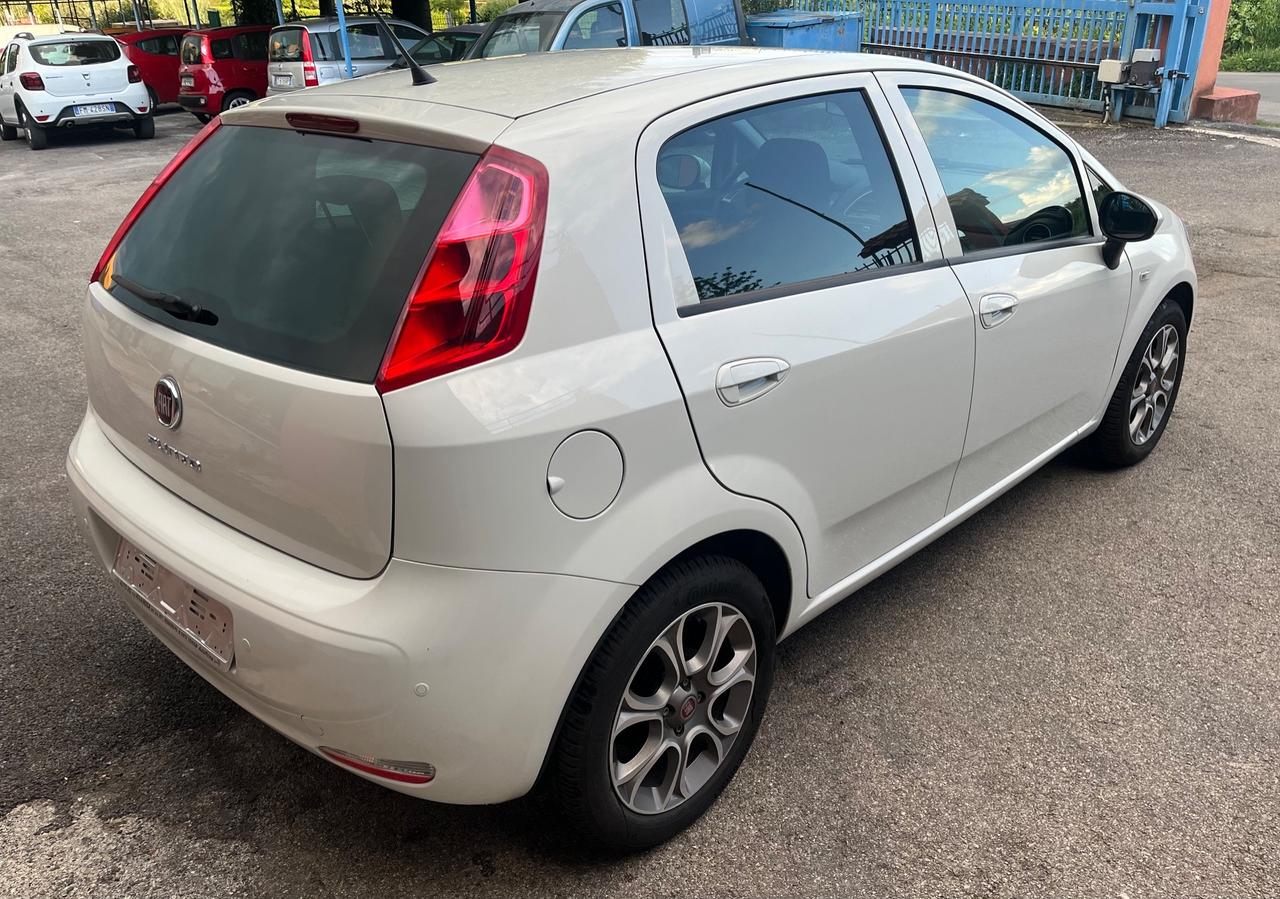 Fiat Punto 1.2 8V 5 porte Lounge-km81000-