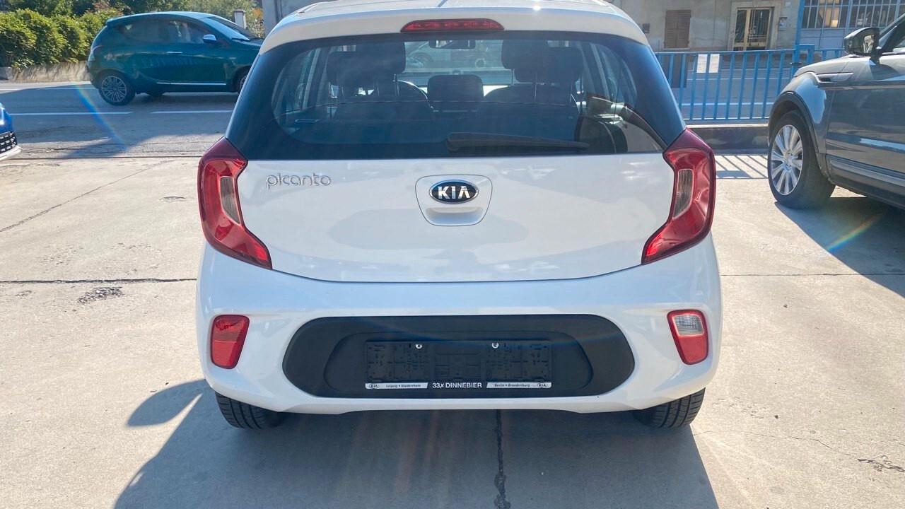 Kia Picanto 1.0 12V 5 porte Cool