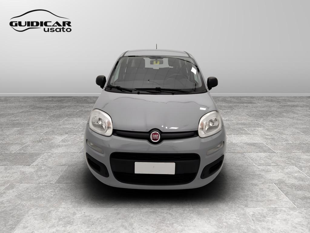 FIAT Panda III 2016 - Panda 1.2 Easy s&s 69cv my19