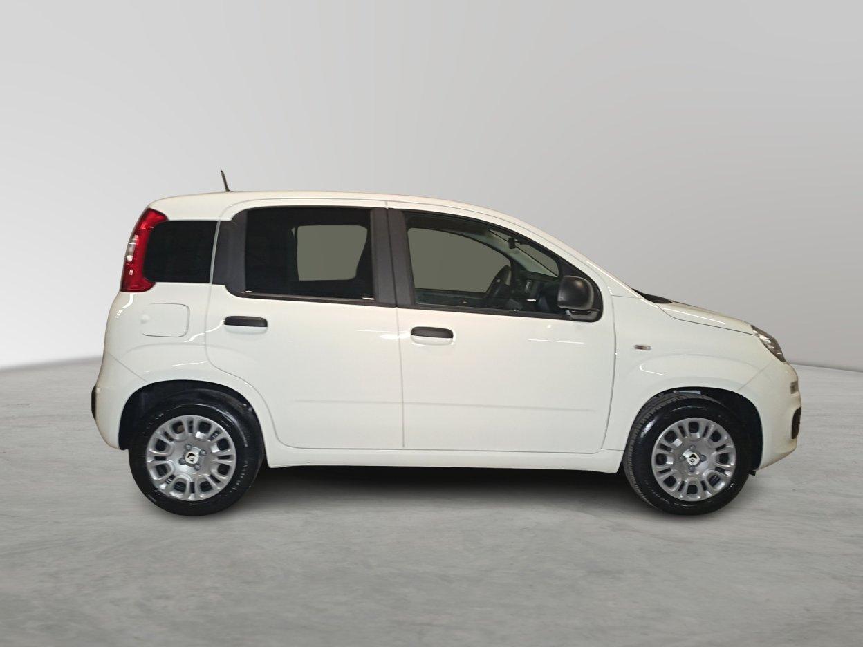 FIAT Panda 3ª serie - Panda 1.0 FireFly S&S Hybrid