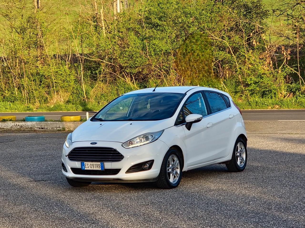 Ford Fiesta 1.0 EcoBoost 100CV 5 porte Titanium Benzina Manuale 2013 E5