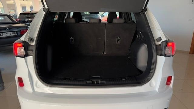 Ford Kuga 1.5 EcoBlue 120 CV 2WD ST-Line