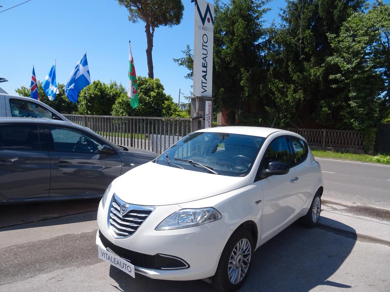 Lancia Ypsilon 0.9 TwinAir 85 Metano Ecochic Elle