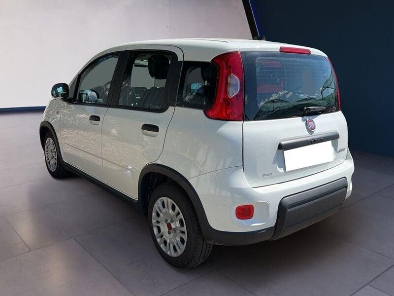 FIAT Panda My23 1.0 70cv Hybrid Panda