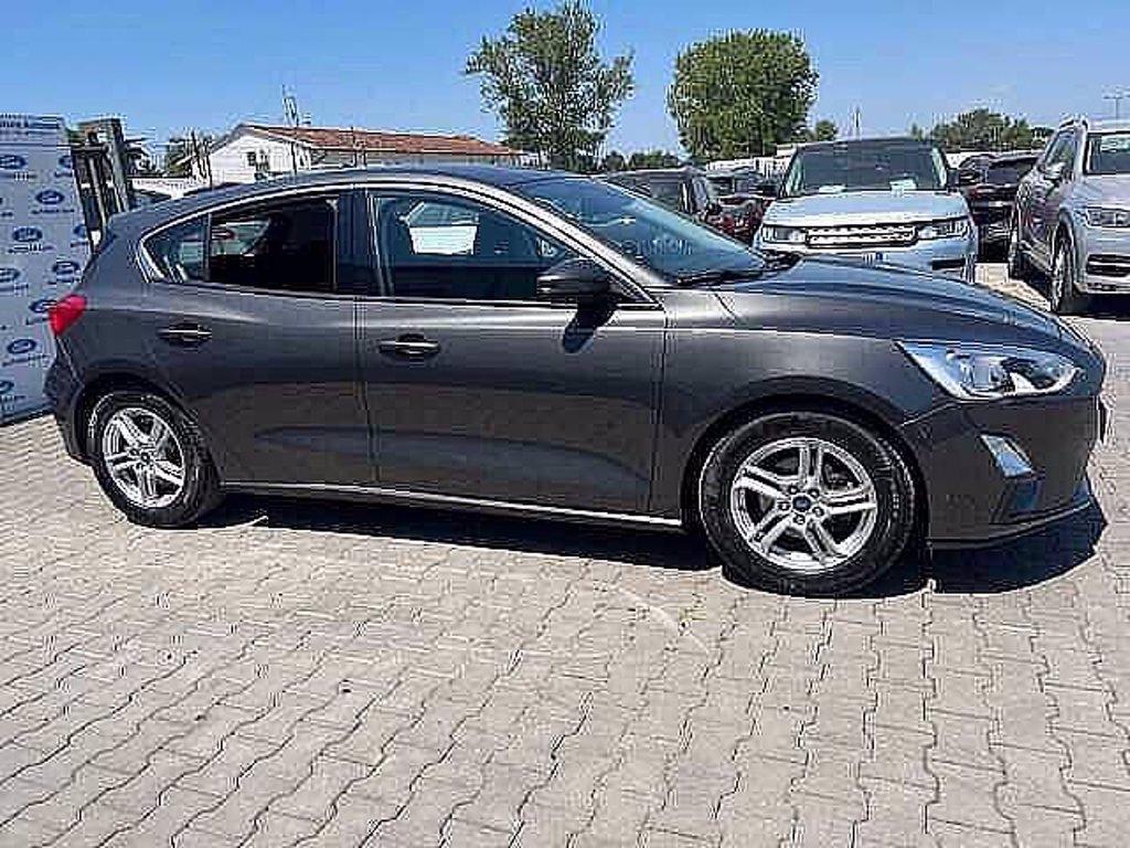 FORD Focus 1.0 EcoBoost 100 CV Start&Stop Plus del 2019