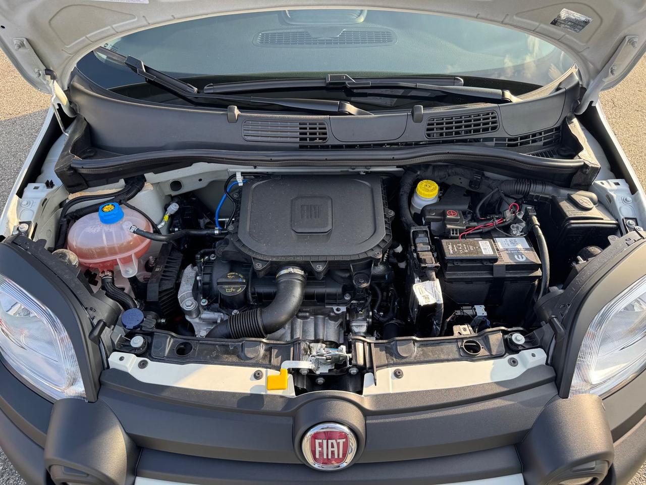 Fiat Panda 1.0 FireFly MHEV Pandina - - PROM #6894