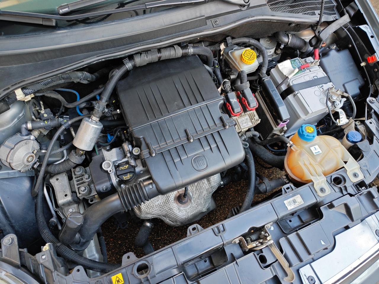 Fiat Punto Evo 1.4 GPL 77cv / GPL OK 2031 / 116.000km