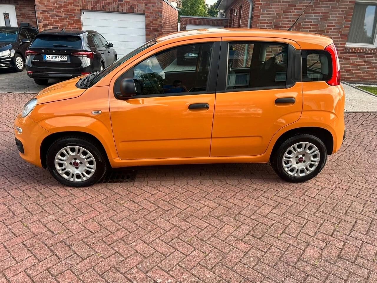 Fiat Panda 1.2 Lounge VARI COLORI