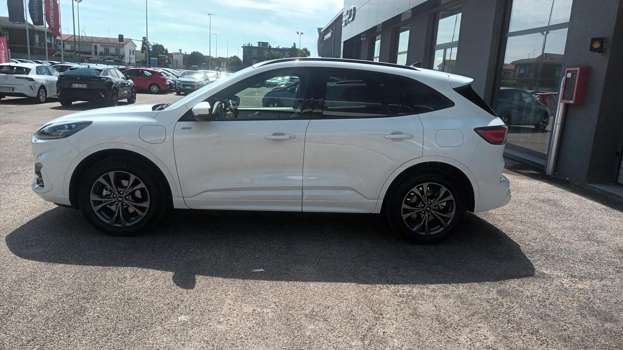 FORD Kuga 3ª serie - Kuga 2.5 Plug In Hybrid 225 CV CVT 2WD ST-Line X