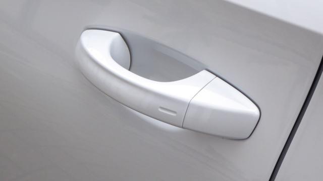 SKODA Fabia 1.0 TSI Evo 110 CV DSG Monte Carlo