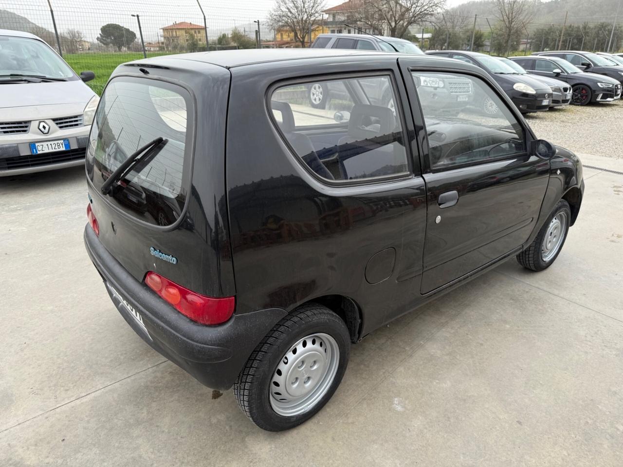 Fiat Seicento 900i cat Young