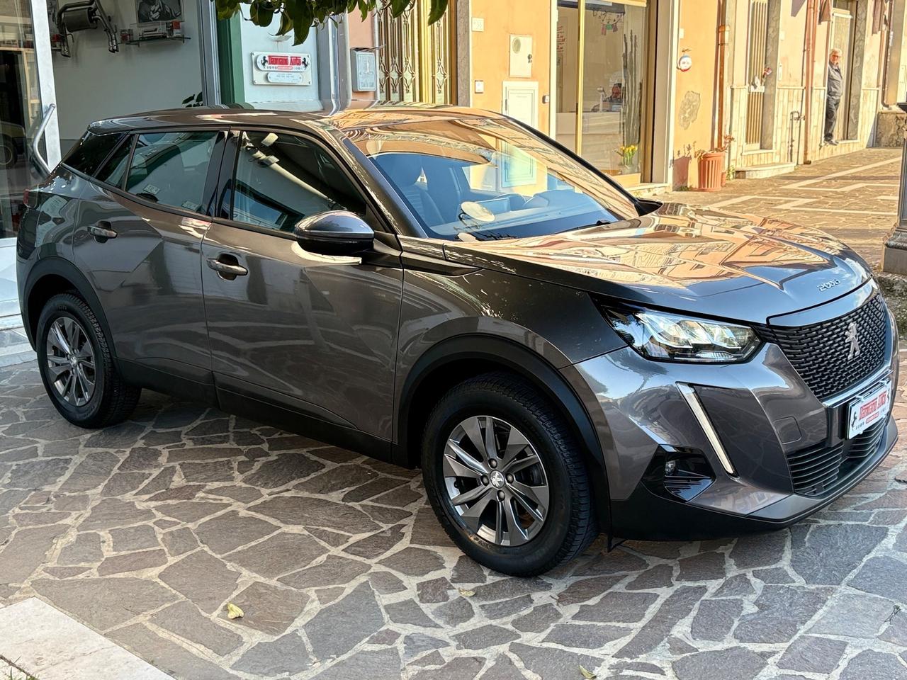 Peugeot 2008 BlueHDi 110 Active FULL LED/NAV/CAM
