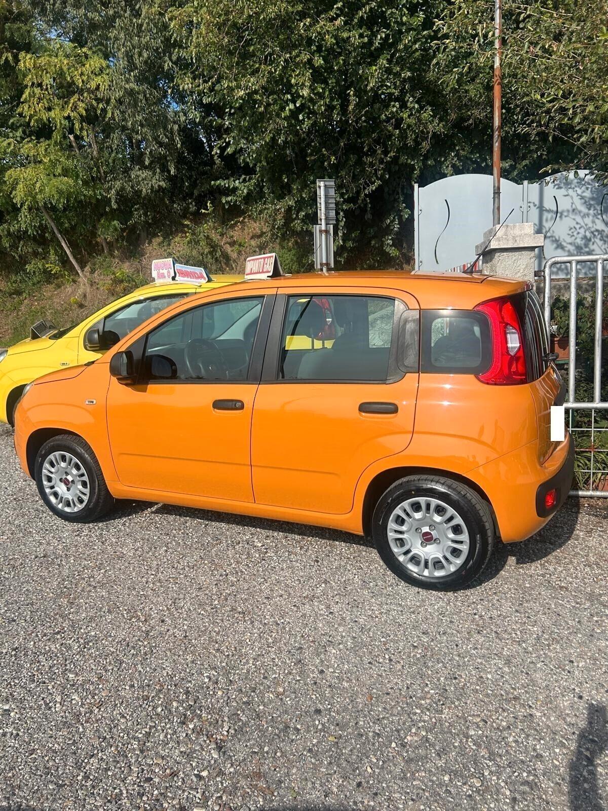 Fiat Panda 1.2 EasyPower Easy ok neo patentati