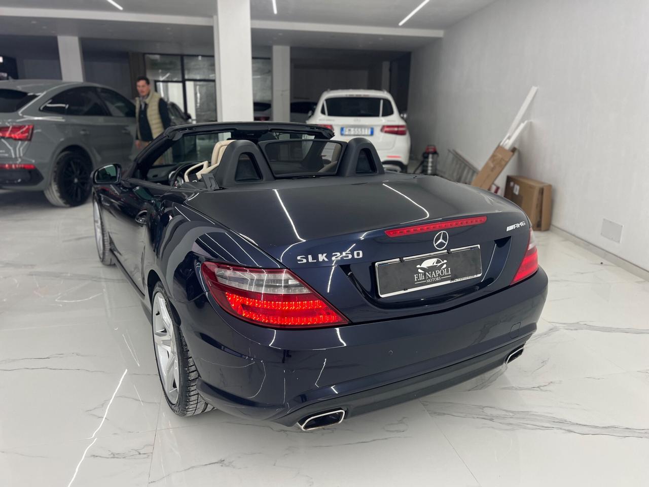 Mercedes-benz SLK 250 CDI Premium